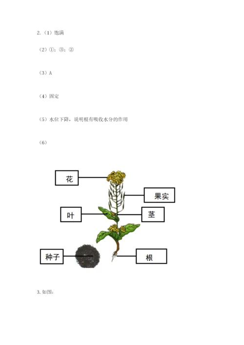 科学四年级下册第一单元植物的生长变化测试卷（达标题）.docx