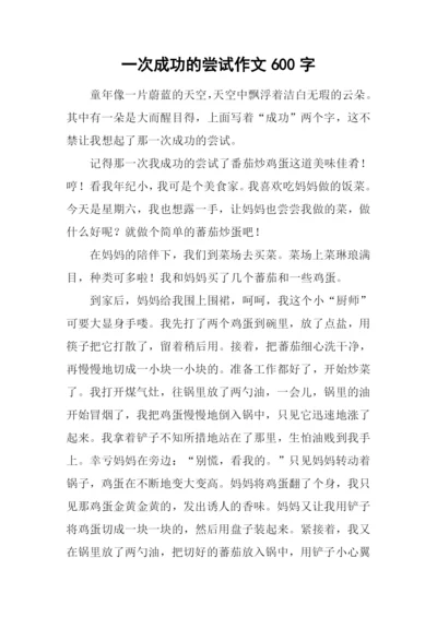 一次成功的尝试作文600字.docx