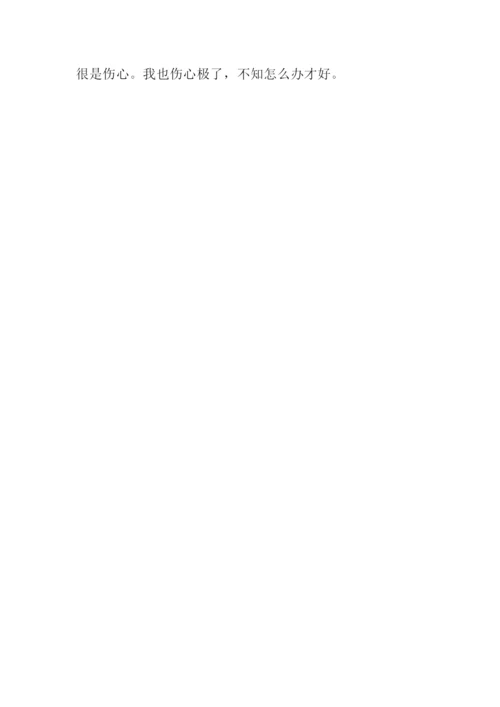 放飞希望作文500字-1.docx