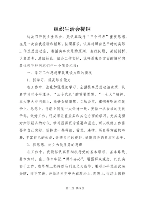 组织生活会提纲.docx