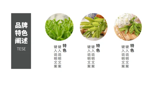 茶业店春茶产品介绍宣传手册通用PPT模板