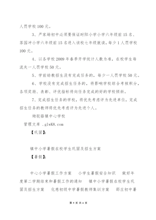 小学暑假在校学生巩固及招生方案.docx