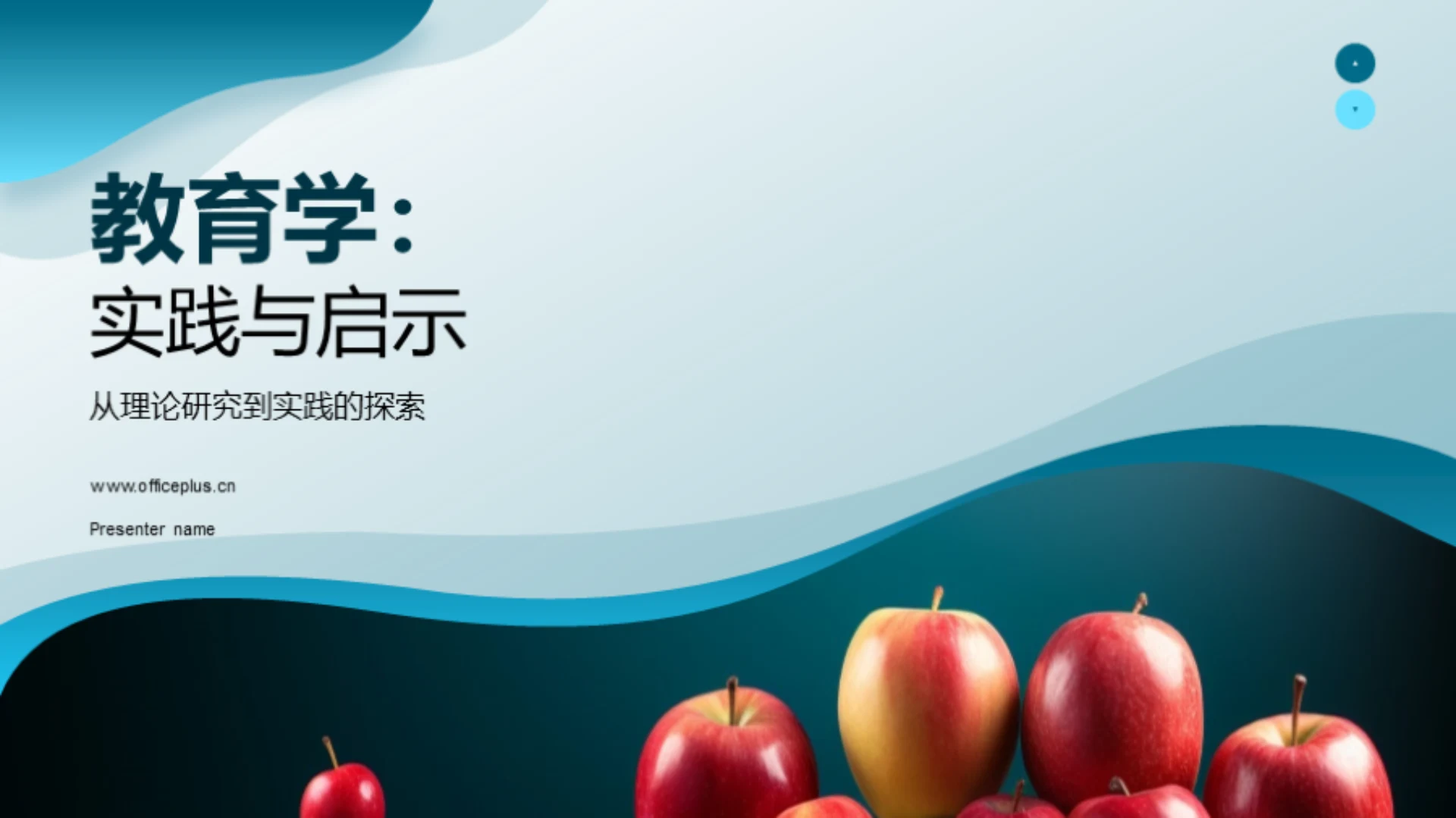 教育学:实践与启示