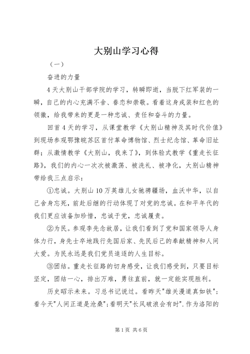 大别山学习心得.docx