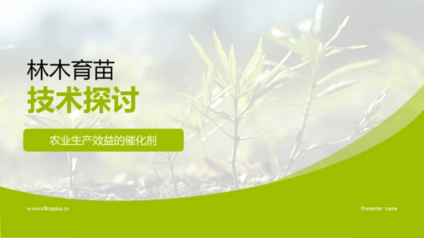 林木育苗技术探讨