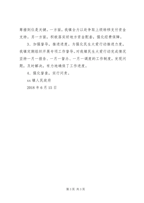 乡镇某年“民生大爱”行动工作总结.docx