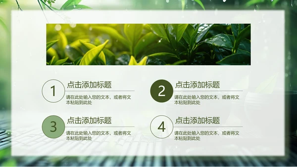 春茶通用PPT模板