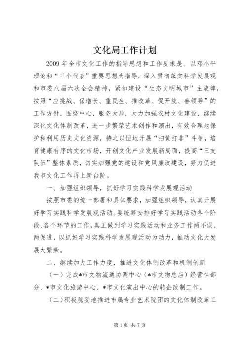 文化局工作计划 (2).docx