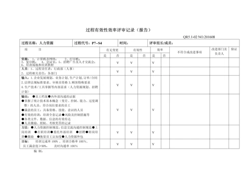 过程有效性效率评审记录.docx