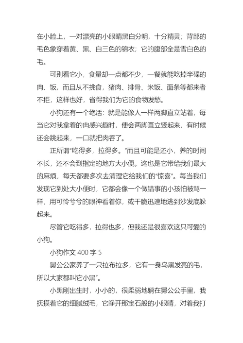 小狗作文400字
