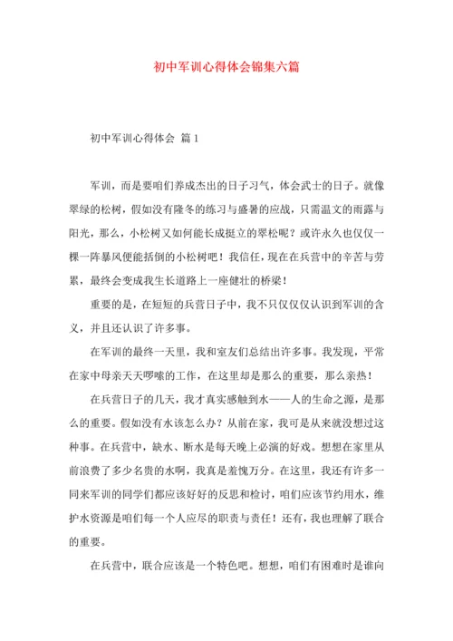 初中军训心得体会锦集六篇.docx