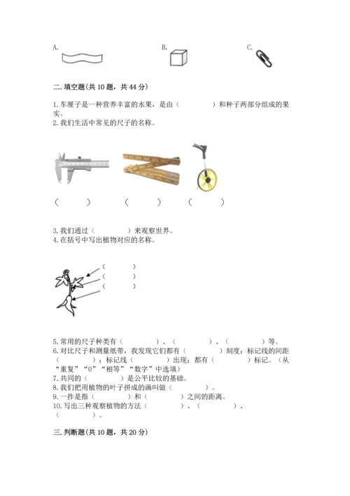 教科版科学一年级上册期末测试卷含答案（巩固）.docx