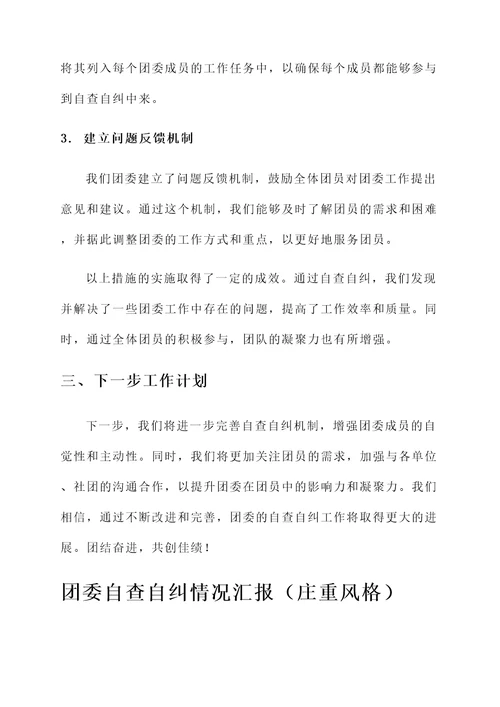 团委自查自纠情况汇报
