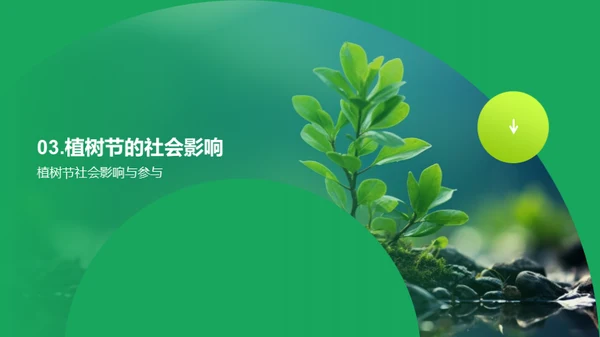 绿色使命：植树节的影响力