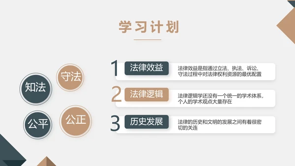 严谨大气法律法学律师工作汇报动态PPT模板
