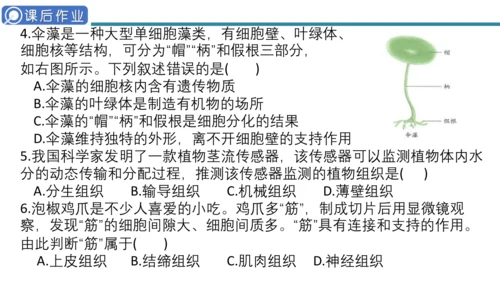 人教版生物七年级上册第一单元《生物与细胞》单元复习课件(共53张PPT)