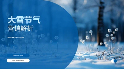 大雪节气营销解析