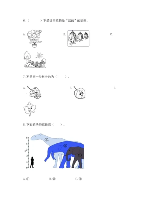 教科版科学一年级上册期末测试卷及参考答案ab卷.docx