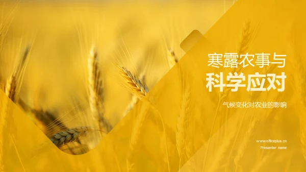 寒露农事与科学应对