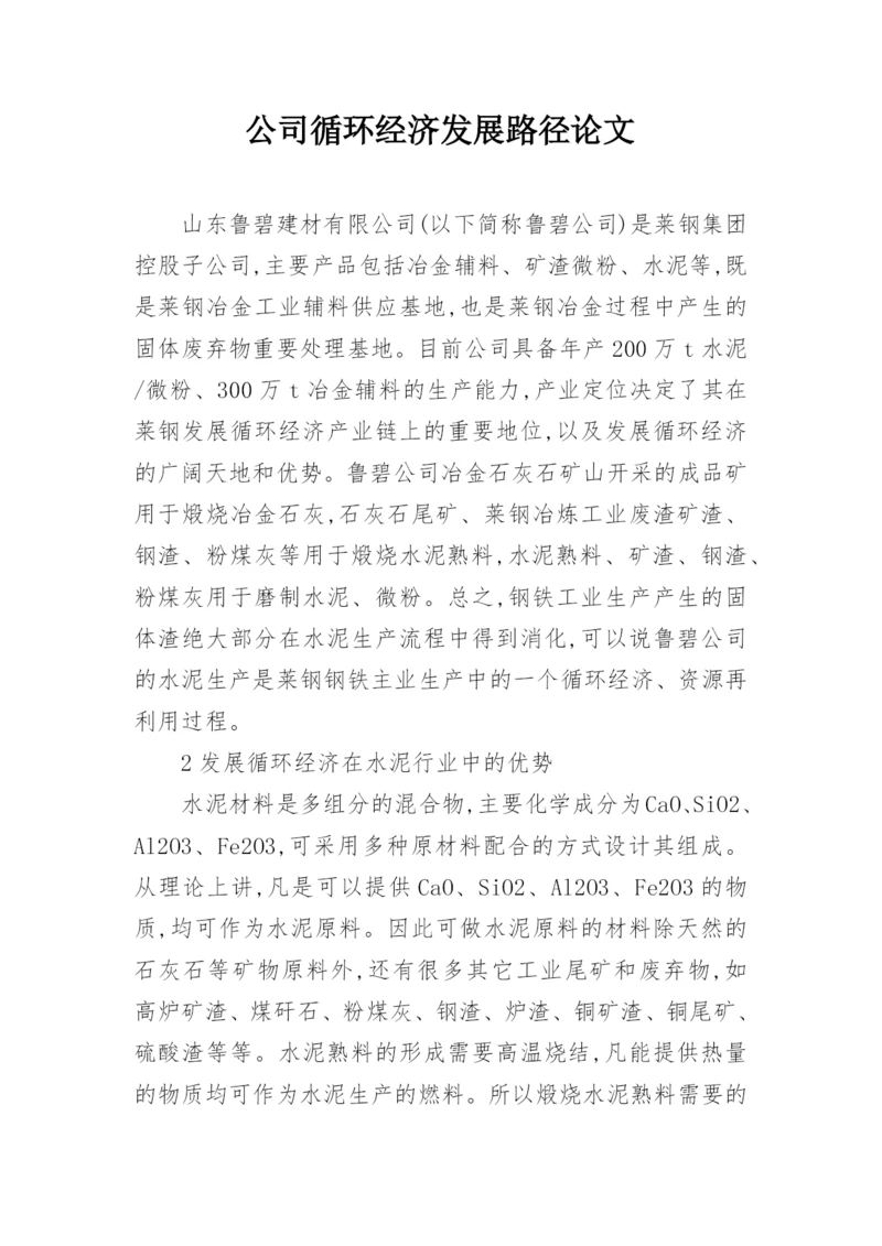 公司循环经济发展路径论文.docx