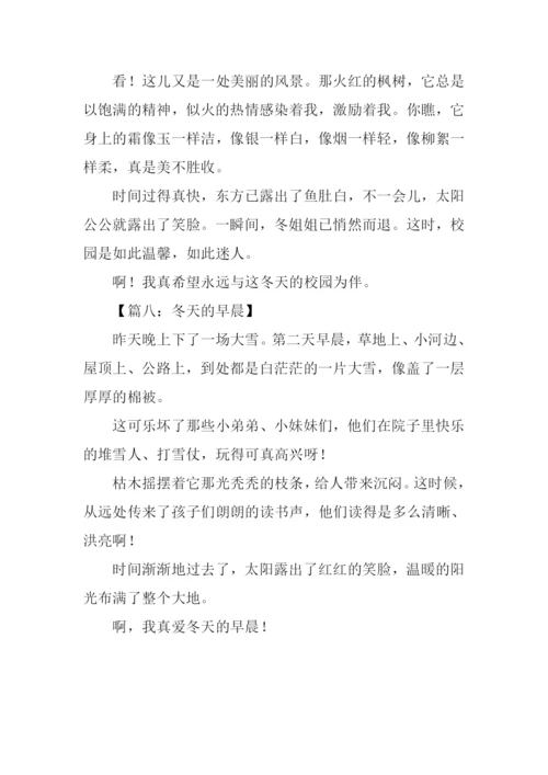 写冬景的作文400字.docx