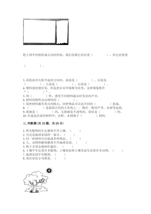 教科版科学二年级上册期末测试卷精品（名师系列）.docx