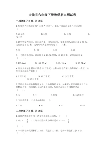 大洼县六年级下册数学期末测试卷a4版.docx