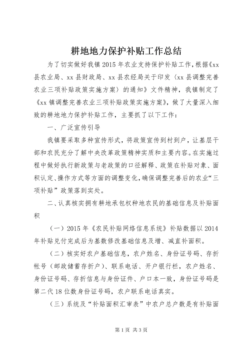 耕地地力保护补贴工作总结.docx