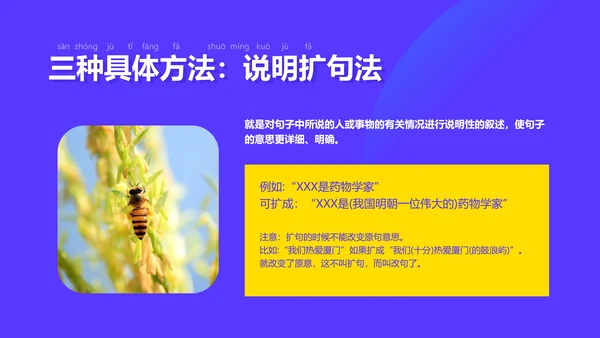 插画风紫色教育课件