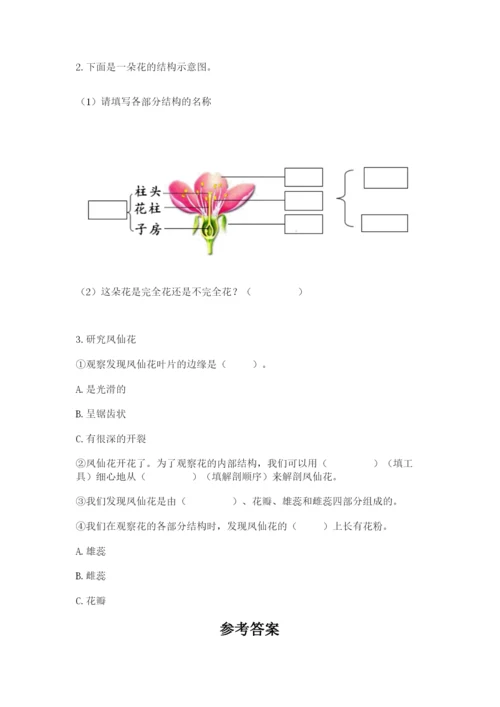 教科版科学四年级下册第一单元《植物的生长变化》测试卷含答案（巩固）.docx