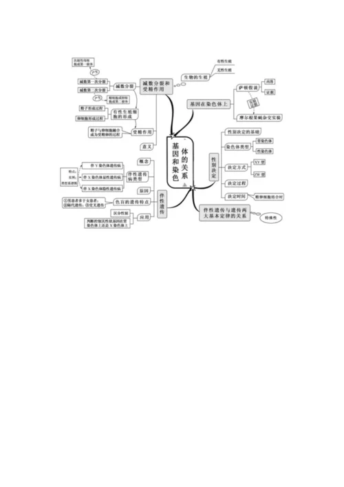 高中生物思维导图.docx