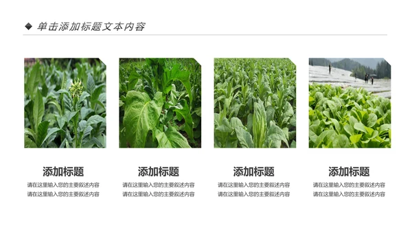 中国人寿保险公司年中工作总结工作计划PPT