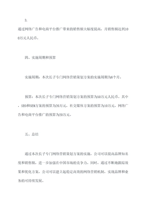 长子专门网络营销策划方案