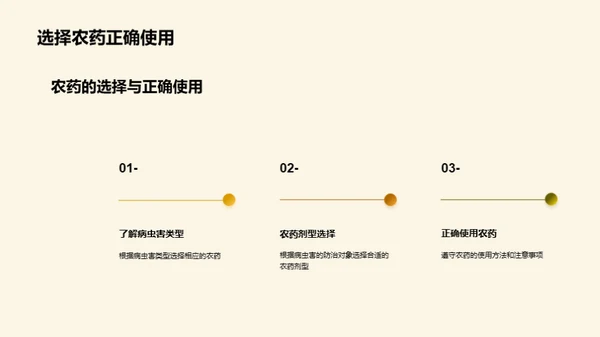 玉米种植新视野