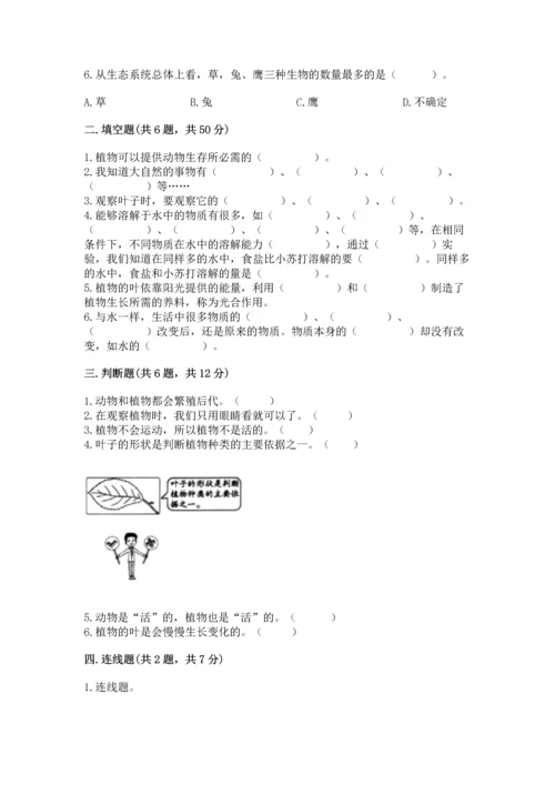 教科版科学一年级上册第一单元《植物》测试卷及答案（夺冠）.docx