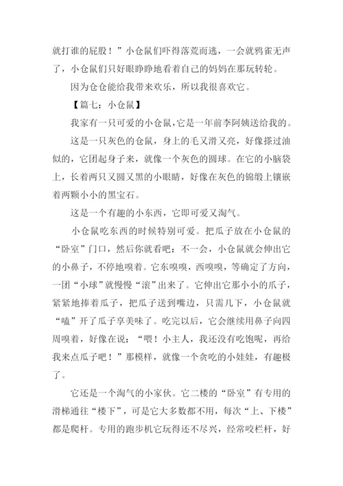 写小仓鼠的作文.docx