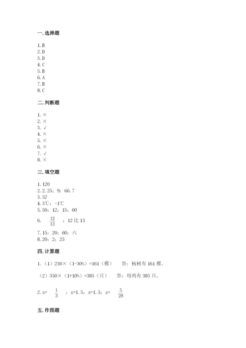 北京版六年级下册数学期末测试卷含答案（综合卷）.docx