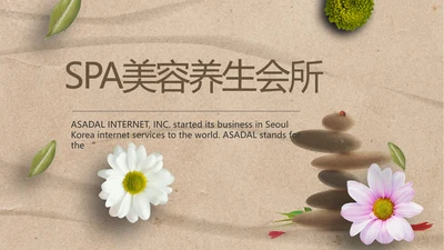简约SPA美容养生会所工作总结PPT