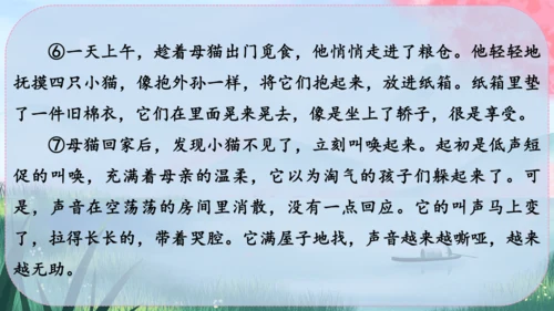 17《猫》课件