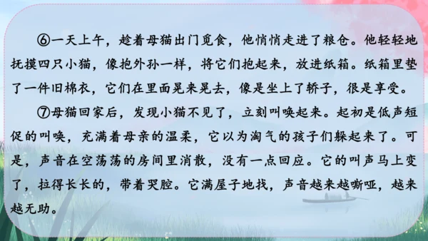 17《猫》课件