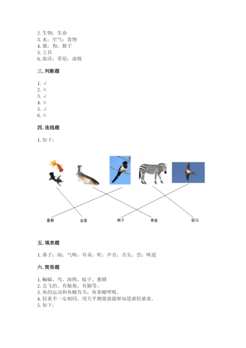 教科版一年级下册科学期末测试卷【重点】.docx