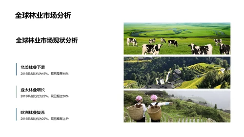 林业进步路