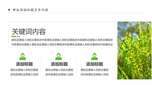 绿色清新植物生长敬畏生命成长励志PPT模板