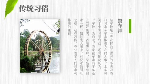 小满——禾苗青苗稻谷嫩芽通用PPT模板