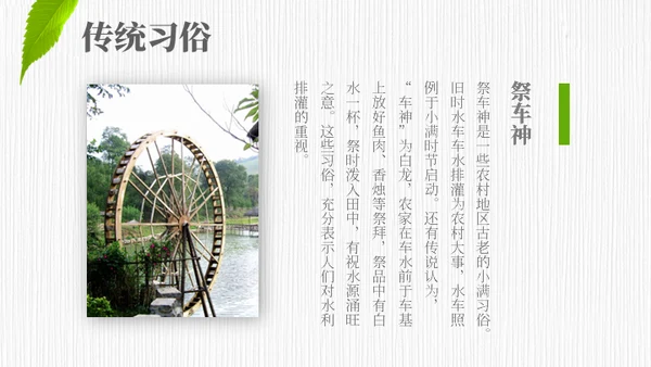 小满——禾苗青苗稻谷嫩芽通用PPT模板