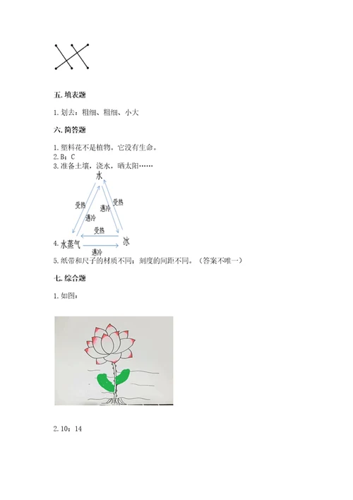 教科版科学一年级上册期末测试卷a4版打印