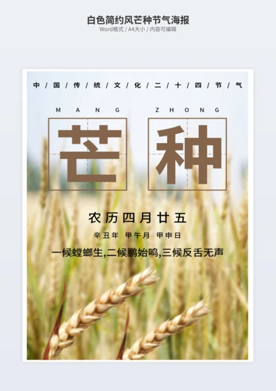 白色简约风芒种节气海报