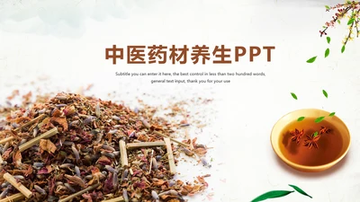 传统中医学中医院中医文化中草药PPT模板