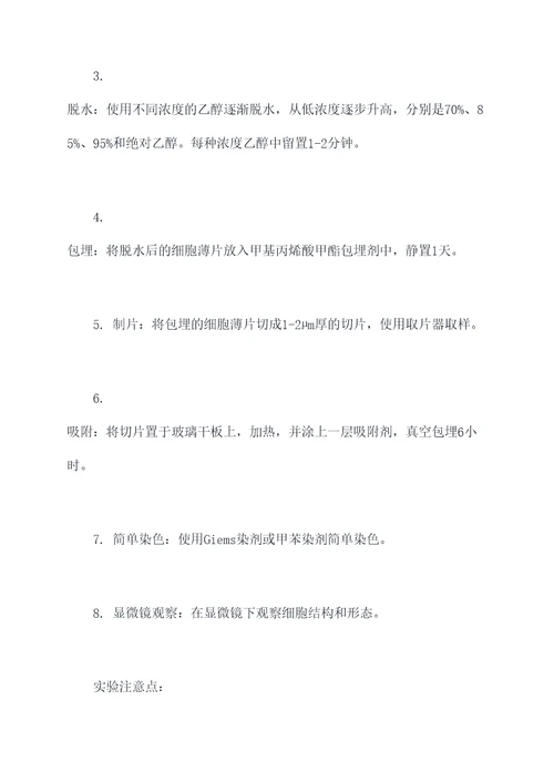 单层扁平细胞实验报告