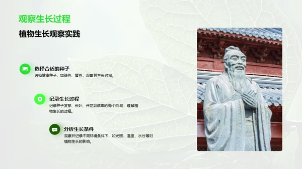 探秘植物的生命之旅